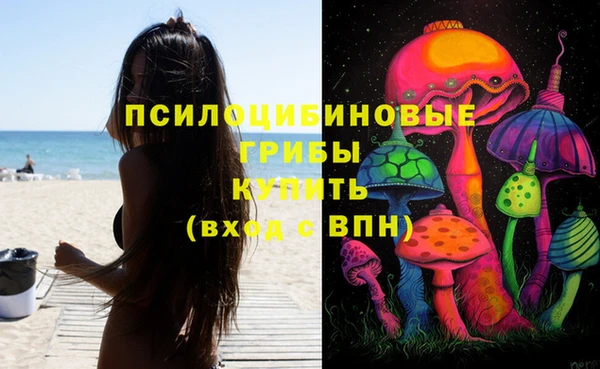 не бодяженный Касимов