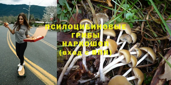 не бодяженный Касимов