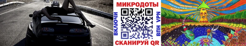 Купить Шали Псилоцибиновые грибы Psilocybe